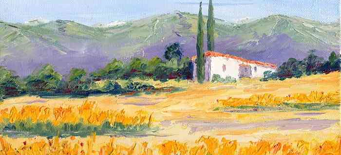 Hte Provence X